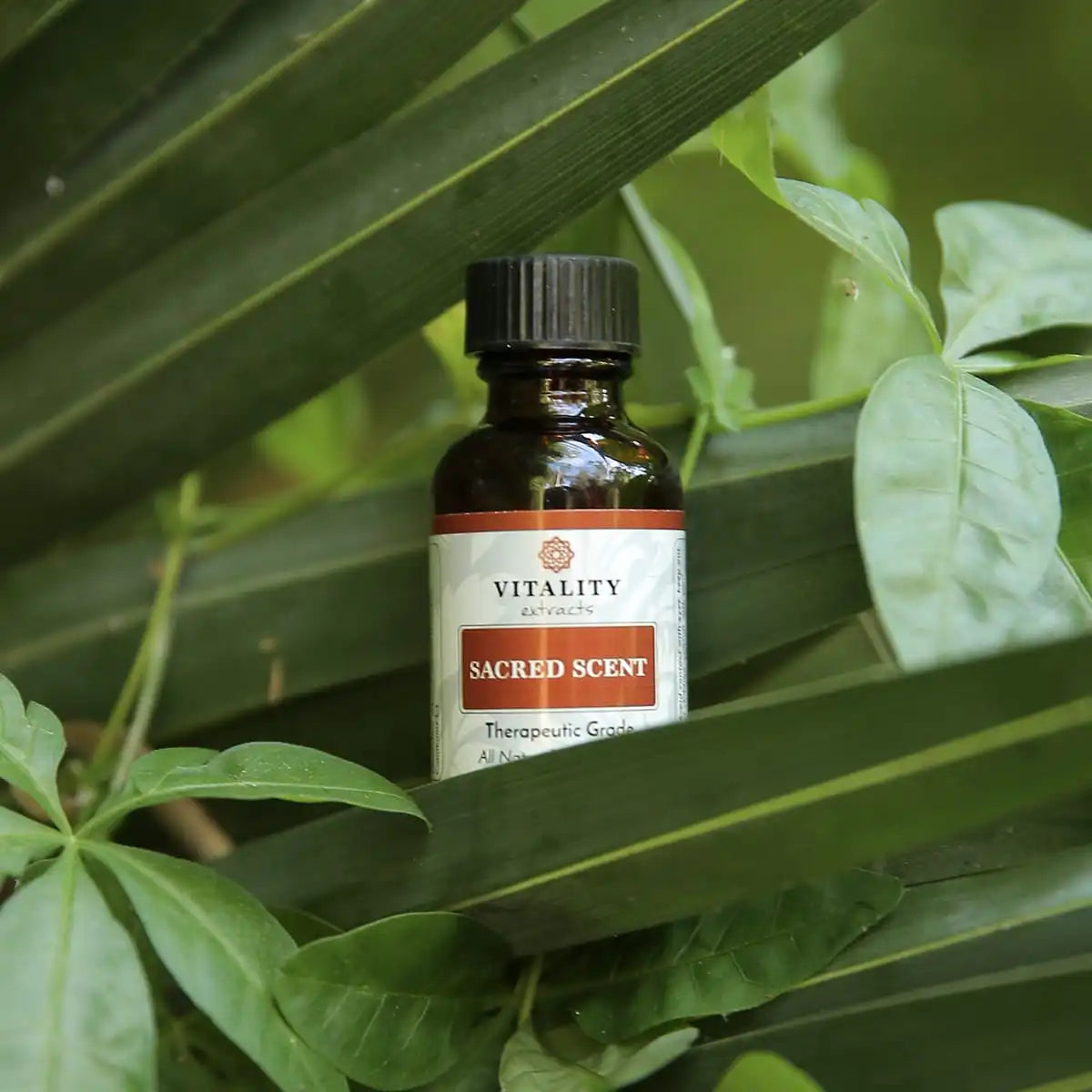 Sacred Scent