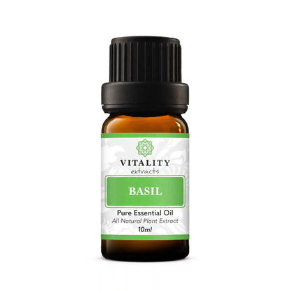 Basil