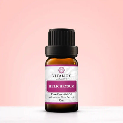 Helichrysum