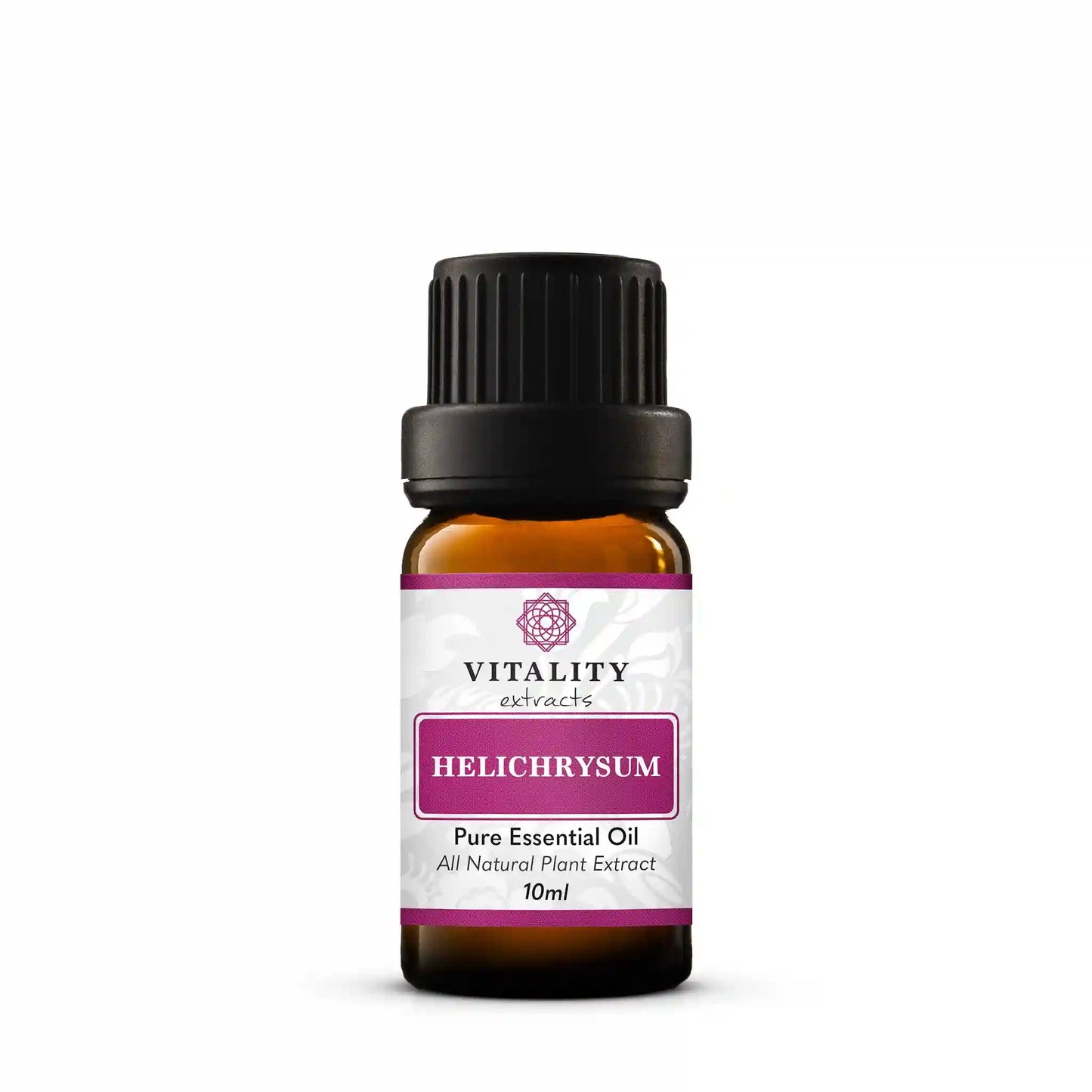Helichrysum