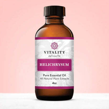 Helichrysum