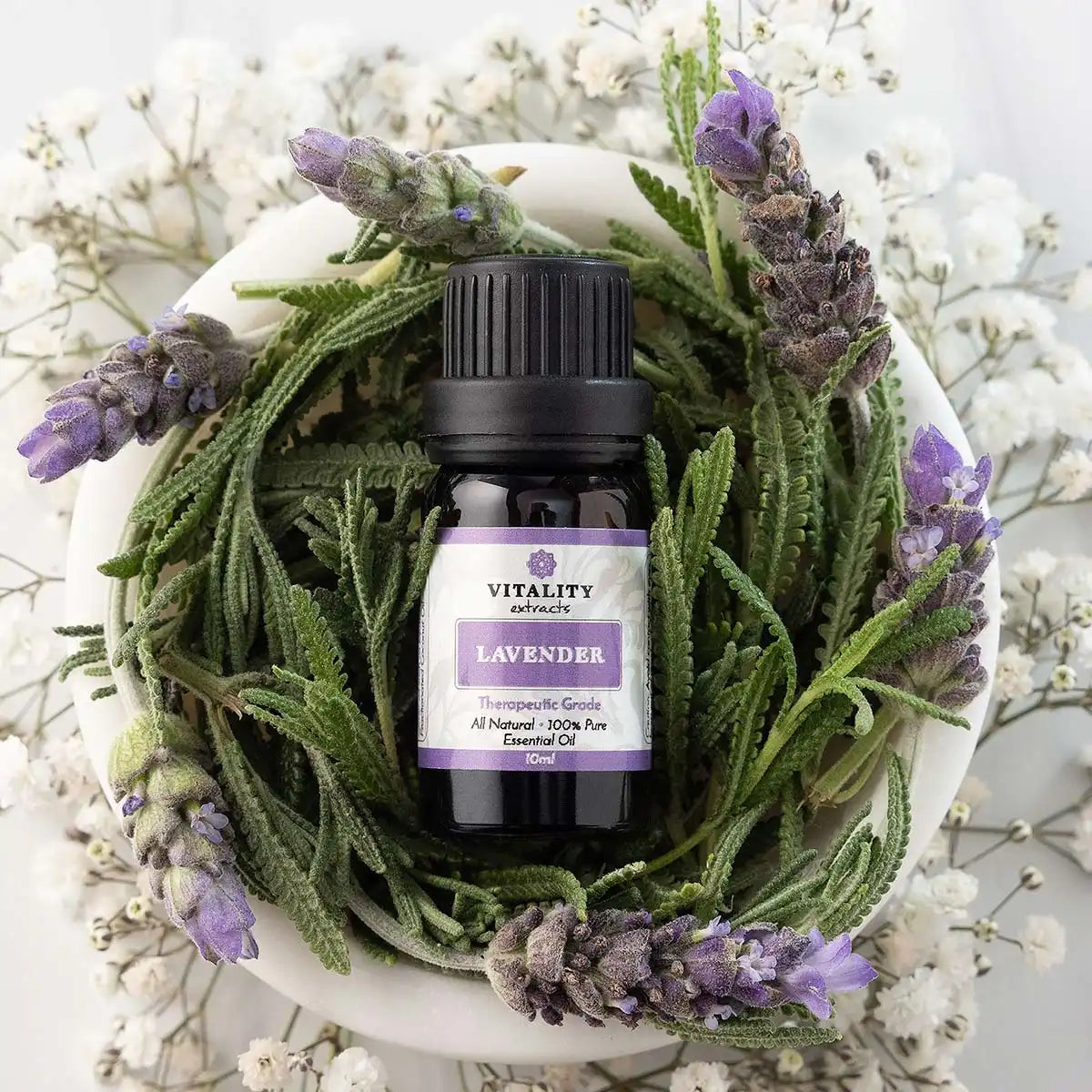 Lavender